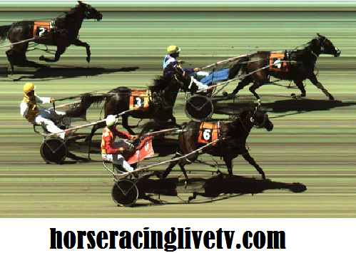 Harness Racing Australia Live