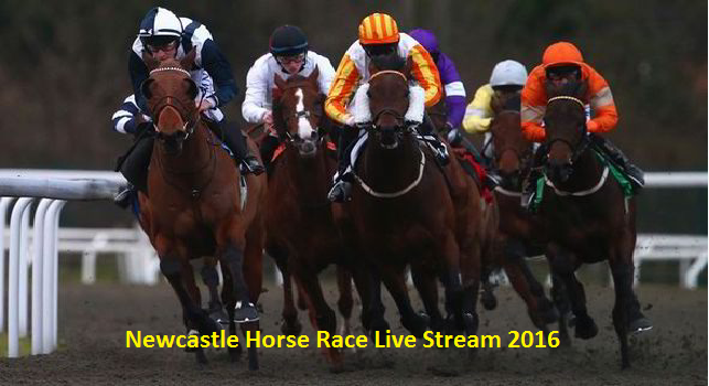Watch 2016 Newcastle Horse Race Online