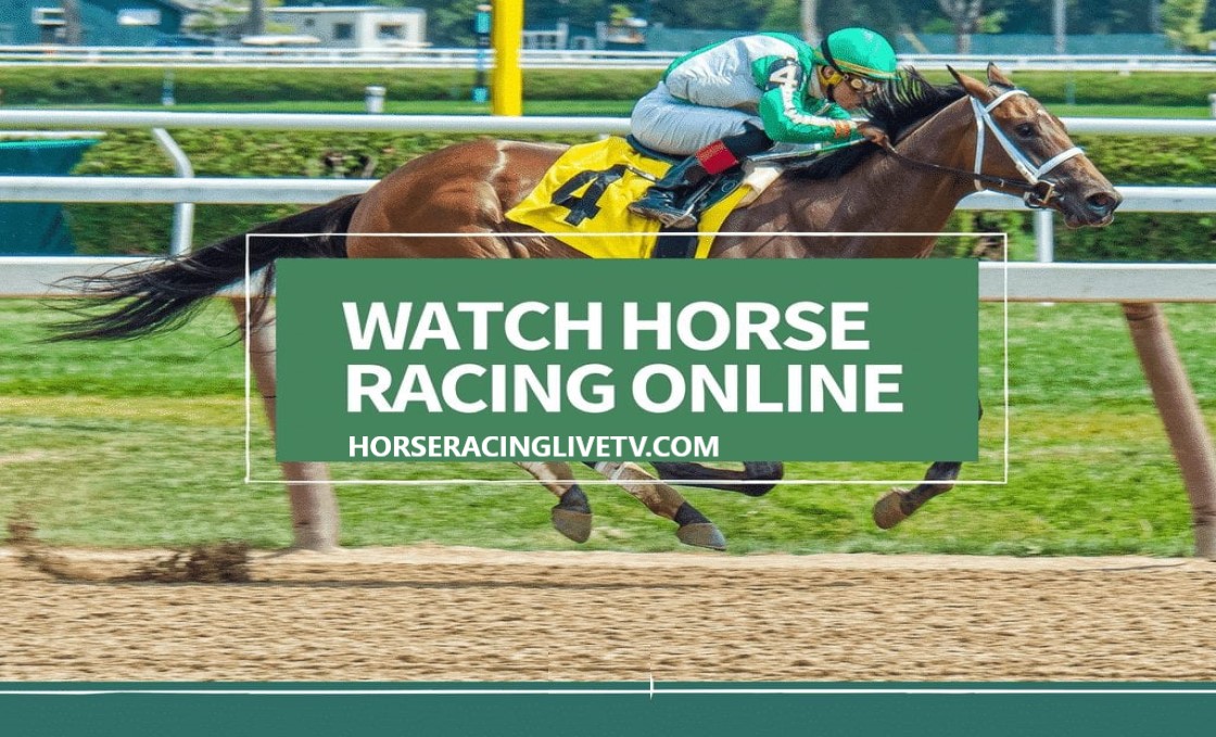 How To Watch Horse Racing Online