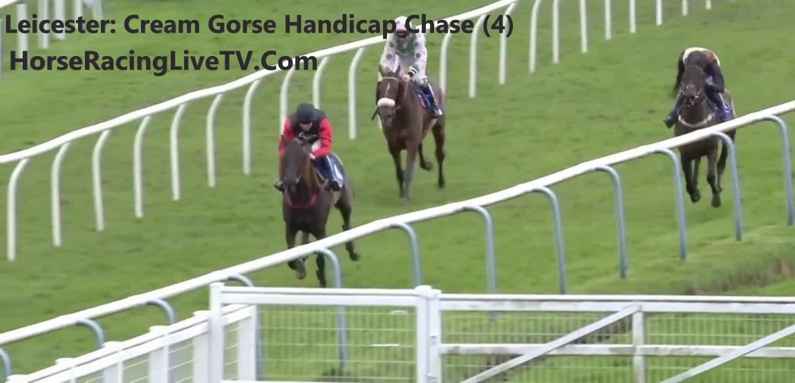 Leicester Cream Gorse Handicap Chase 4 20201402