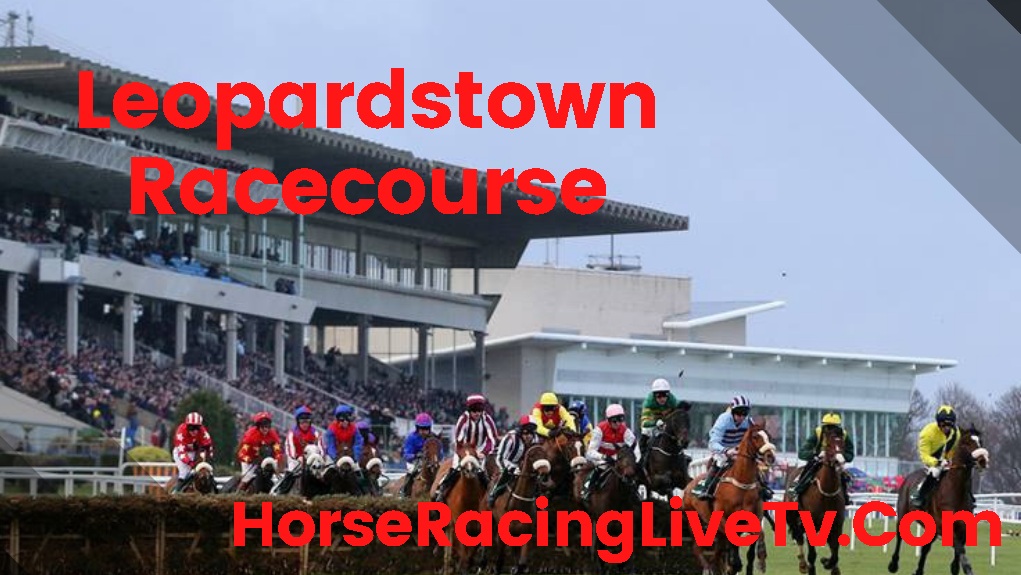 Leopardstown Ladbrokes Dublin Chase Grade 1 Horse Racing highlights