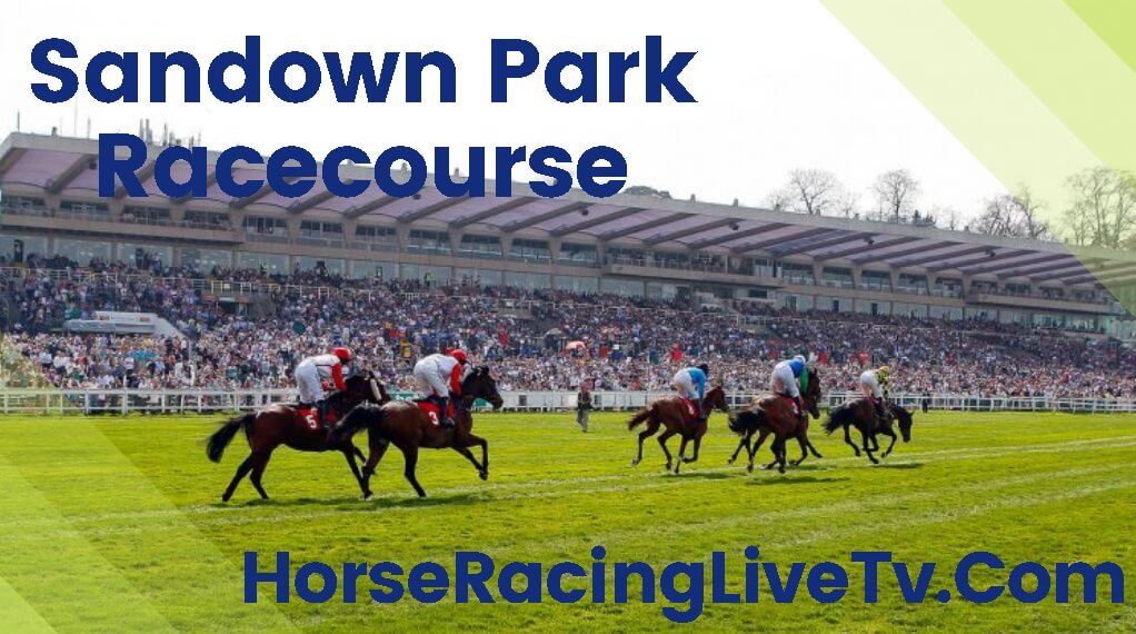 Sandown Heed Your Hunch at Betway Novices Handicap Hurdle 3 20200102