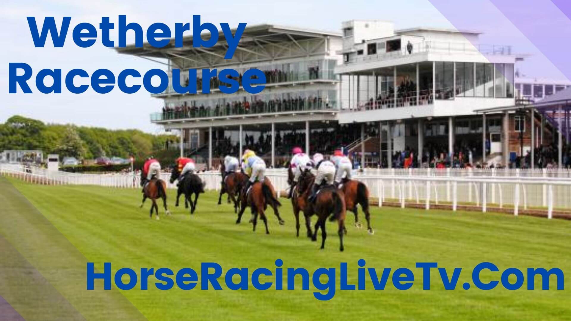 Wetherby Racing TV Open Hunters Chase 6 20200102