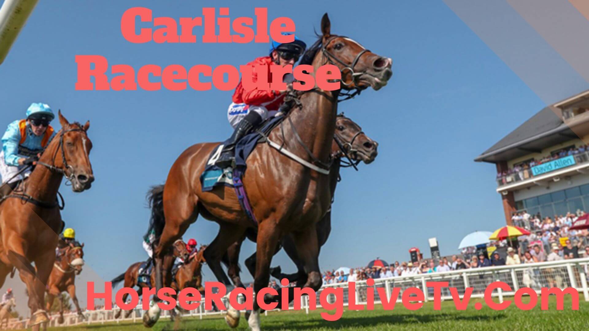 Carlisle Introducing Racing TV Novices Handicap Chase 4 Horse Racing