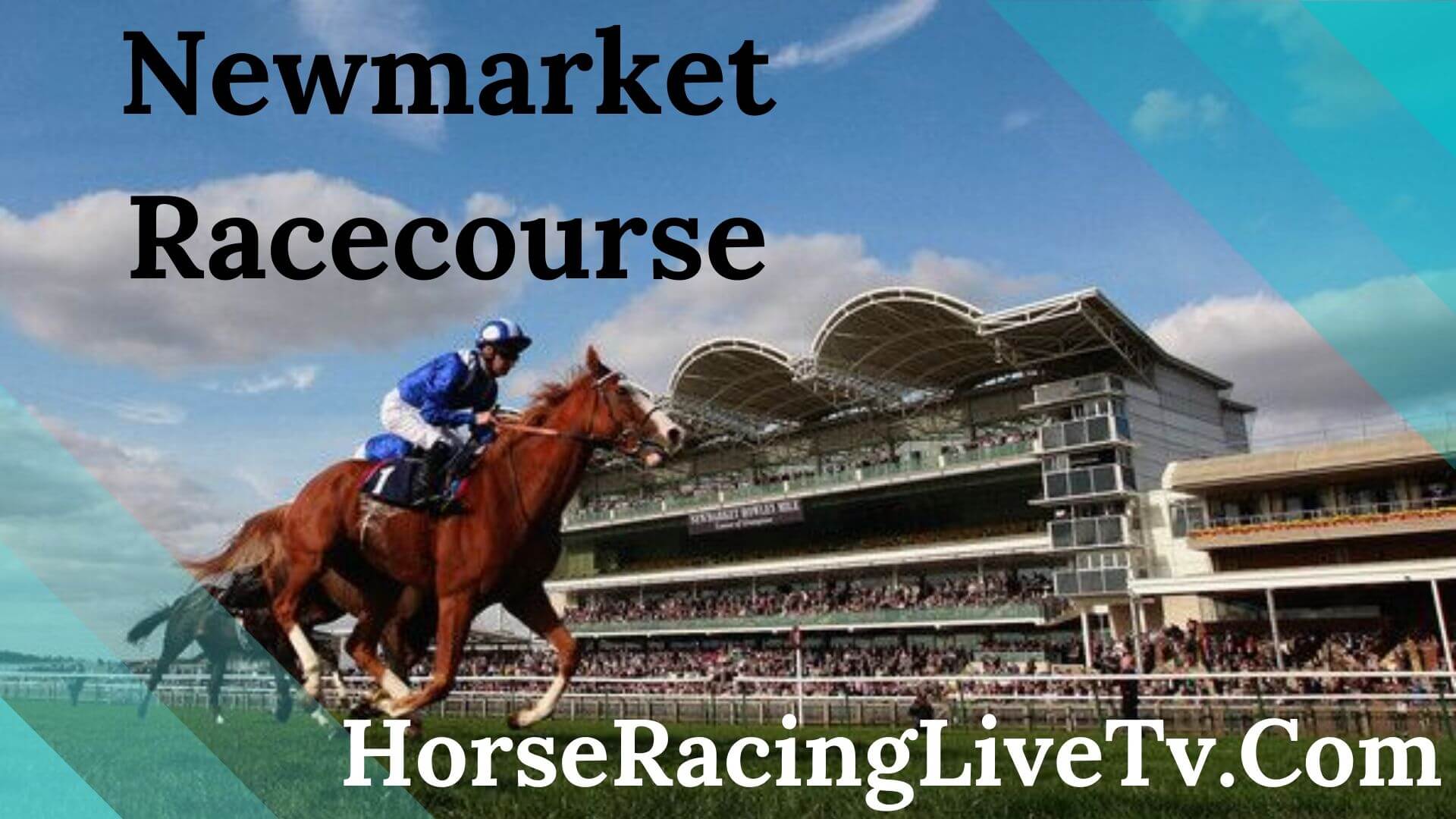 Newmarket Betway EBF Maiden Stakes 5 Horse Racing highlights