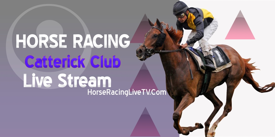 Catterick Bridge Horse Racing Live Stream All Races