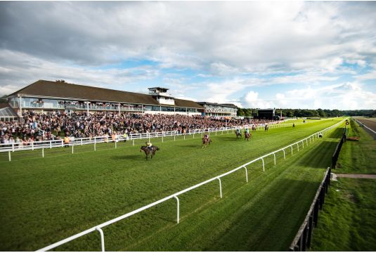 Watch Horse Racing At Racecourse Lingfield Live Broadcast