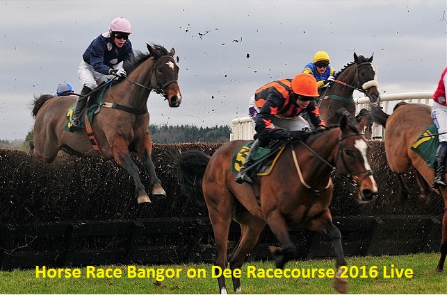 Watch Bangor on Dee Horse Race Live Broadcasting