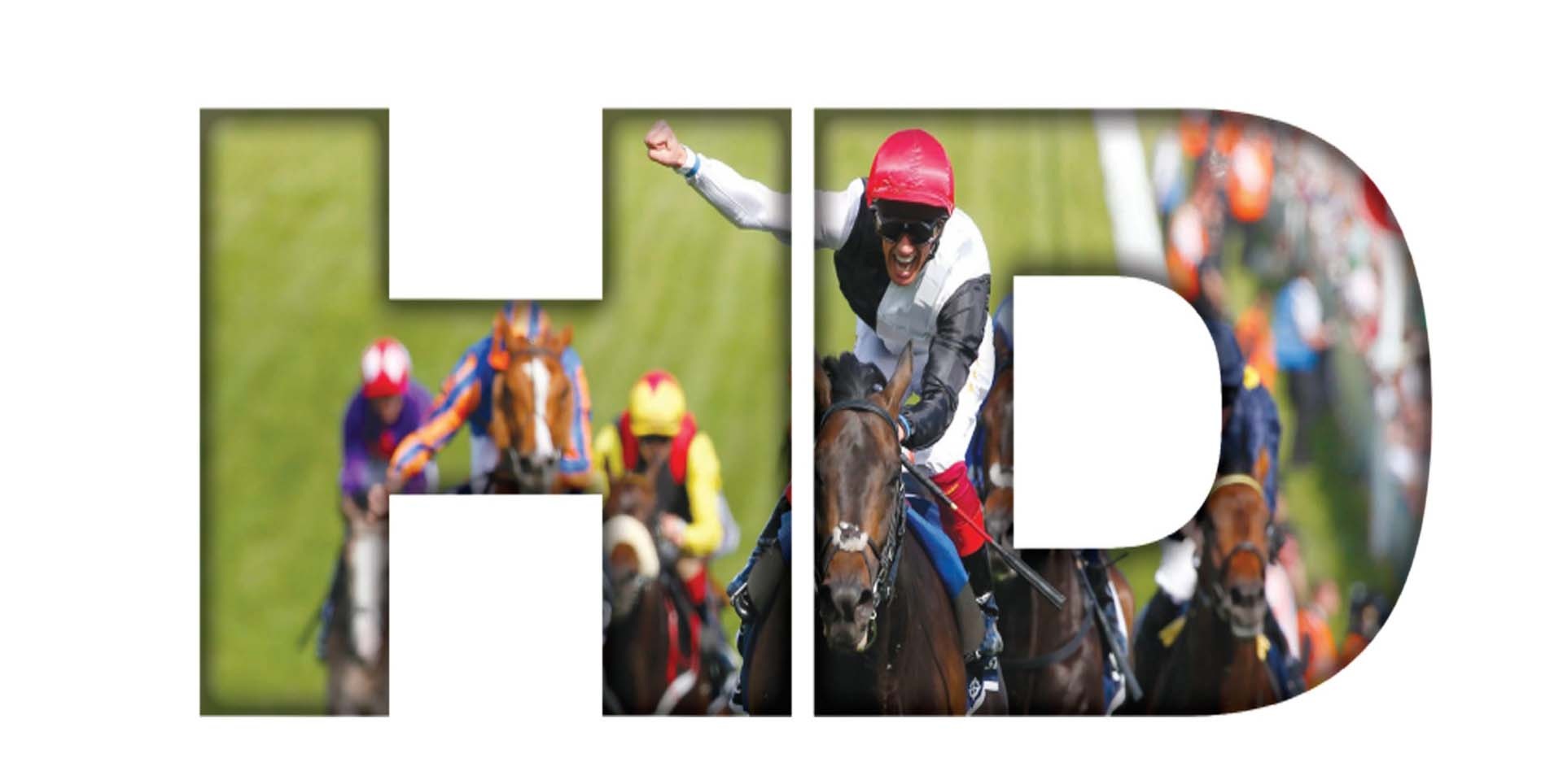 Watch Navan Horse Race Online Stream