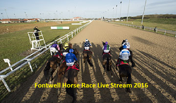 Watch Fontwell Horse Race Streaming