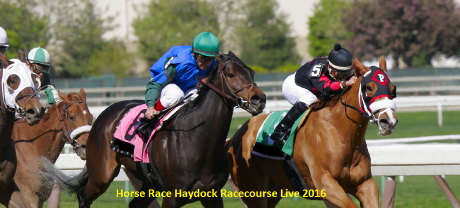 Live 2016 Haydock Horse Race Stream