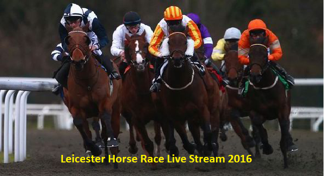 Watch Leicester Horse Race Online