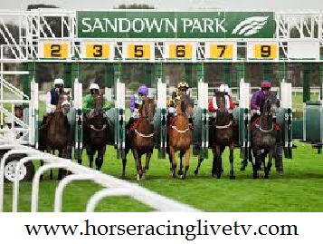 Horse Racing At Sandown Park Live