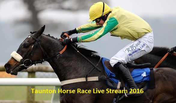 Watch Taunton Horse Race Live