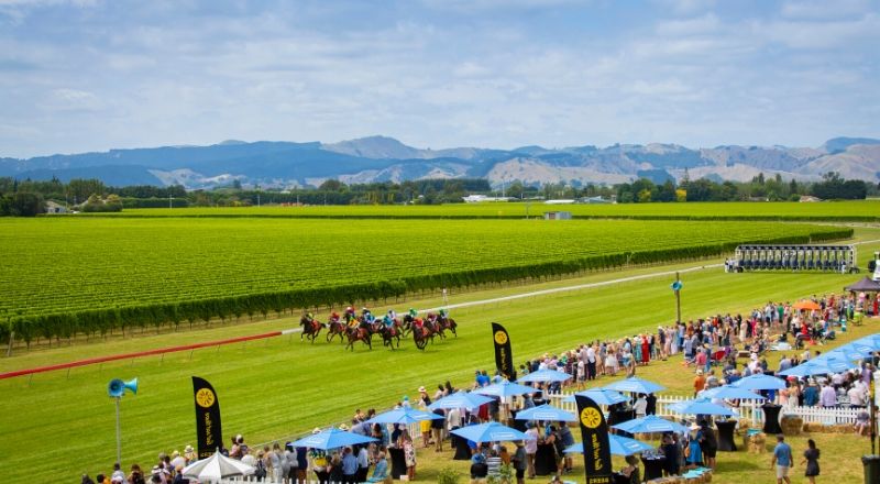 Ashwood Park Racecourse