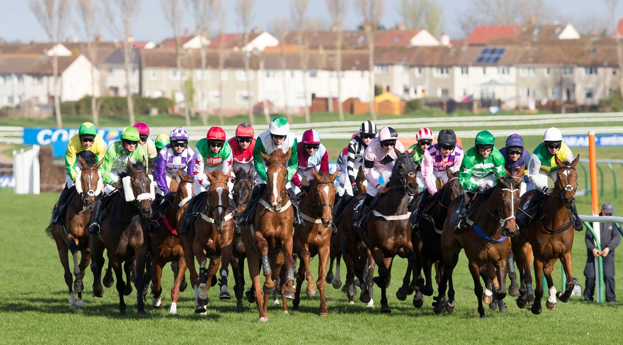 Ayr Racecourse