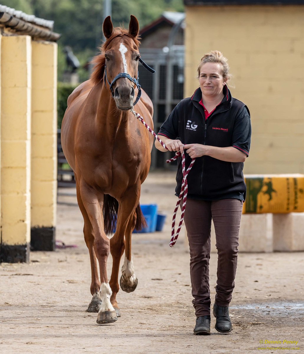 Barbara Butterworth Profile as Horse Trainer Daily Barbara