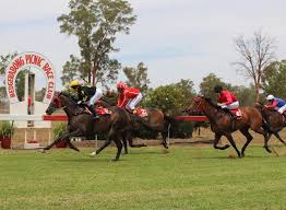 Bedgerabong Racecourse
