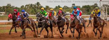 Cobar Racecourse