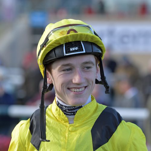 2024 David Egan Profile as Jockey - Daily David Egan Horse Racing Stat