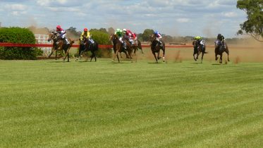 Holbrook Racecourse