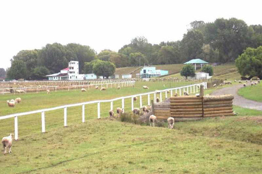 Wairoa Racecourse